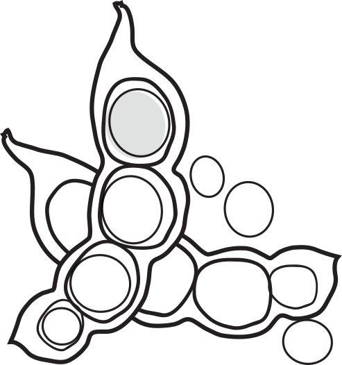 Ceny Soja